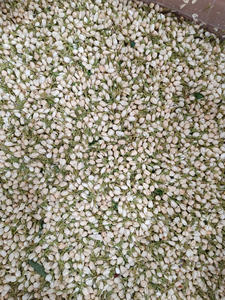 Capullos de Jazmín Secos Naturales Premium para Té de Hierbas, Pétalos de Jazmín Blanco de Alto Aroma, Grado Alimenticio, Venta al por Mayor - Product Image 5