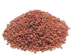 Semillas de alfalfa no transgénicas de alta calidad para proyectos de ensilaje, pastoreo y mejora del suelo, procedentes de Sudáfrica. - Product Image 6