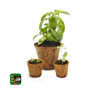 Fabricant de pots en fibre de coco naturelle du Vietnam, pour les fleuristes de luxe et des produits de jardinage haut de gamme à prix abordable pour l'exportation. - Product Image 6