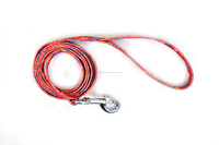 Ensemble collier et laisse pour chien en nylon rouge imprimé, avec boucle réglable et clochette, pour petits chiens, toutes saisons