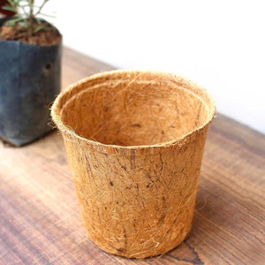 กระถางปลูกต้นไม้จากใยมะพร้าว/กระถางใยมะพร้าวแบบรักษ์โลก - Product Image 5