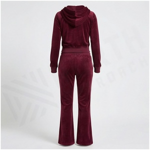 <b>Women</b> <b>Velvet</b> Hooded Tracksuit Full Length Zipper Sweatshirt Pants Set Solid Color Casual Autumn Wear - Product Image 2