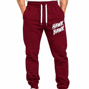 Pantalon décontracté pour homme style jogger coupe décontractée avec cordon de serrage, imprimé lettres sur la jambe droite, en coton, pour l'automne - Product Image 1