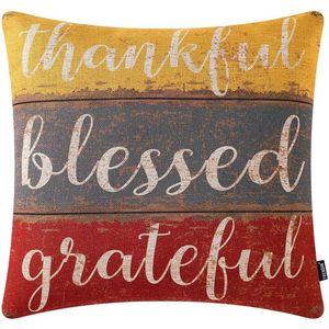 TRENDIN Federa per Cuscino 18x18 Pollici, Decorazione Autunnale 'Thankful Blessed Grateful', Stile Rustico, Federe Decorative e per Cuscini - Product Image 1
