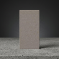 Carreaux en porcelaine effet béton gris Sandfeel 24x48 pouces, surface mate pour les intérieurs résidentiels contemporains