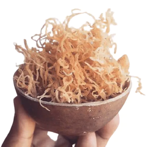 สาหร่ายคอตตอนนีแห้งธรรมชาติ วัตถุดิบสำหรับคาร์ราจีแนน และการแปรรูปอาหาร เกรดอุตสาหกรรม สาหร่ายทะเล จำหน่ายจำนวนมาก - Product Image 6