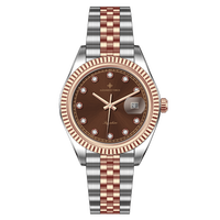 Montre automatique mécanique Alexander Ferros 8392D/08 avec mouvement Miyota, boîtier en acier inoxydable, cadran en cristal saphir de 38 mm, étanche 5 BAR