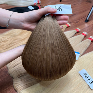 Extensions de cheveux humains Remy vietnamiens lisses et soyeux, directement de l'usine, plusieurs couleurs, meilleure qualité - Product Image 1