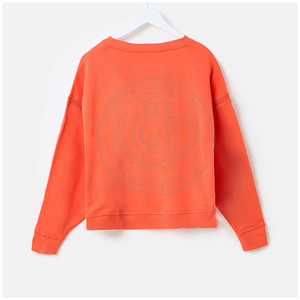 Sudadera de cuello redondo de felpa 100% algodón bordada naranja de la hermandad GREEK COLLECTION IND - Invierno de la hermandad - Product Image 2