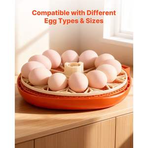 Incubateur automatique à 12 œufs avec contrôle de la température et de l'humidité, fenêtre transparente à 360°, modèle pour l'éclosion de poussins/canards à la maison ou à la ferme - Product Image 6