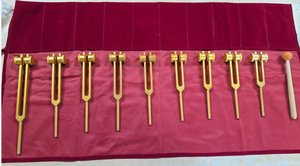 Diapasón de Sanación de Alta Calidad Mars Chakra 9 Weighted y Solfeggio 9 Weighted (Dorado) – 18 Notas - Product Image 5