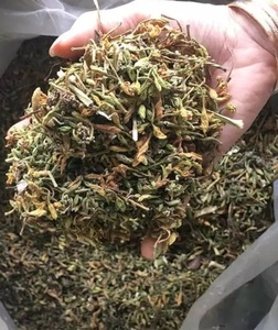 Thé aux fleurs de papaye séchées biologiques de haute qualité, mélange personnalisé de thé aux herbes naturelles pour la santé, vente en gros en vrac - Product Image 2