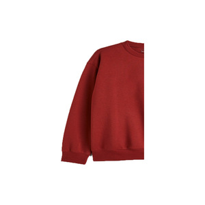 Sudadera Personalizada para Mujer, Ecológica, Resistente al Viento, Transpirable, de 220g, Tejida, 100% Algodón, Felpa, Cuello Redondo, Oversize, para Invierno/Primavera - Product Image 6
