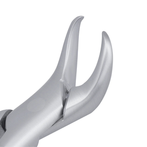 Forceps d'extraction des molaires inférieures 23 Cowhorn en acier inoxydable, instrument chirurgical dentaire pour l'extraction des dents, outil de chirurgie buccale réutilisable - Product Image 5