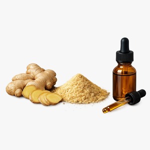 Polvo de Extracto de Jengibre - Product Image 1