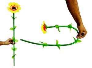 Truco de Magia: Cuerda Rígida de Girasol que se Transforma en Flor, Cuerda Rígida Clásica con Temática Floral - Product Image 4