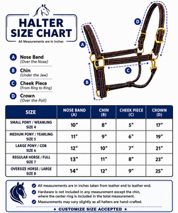 Premium Genuine Leather Horse Halter Wholesale Padded Fancy Stitched Leather Halter Headstall <b>Equestrian</b> Horse Tack - Product Image 4