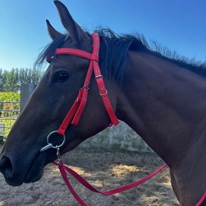 Thickened Horse Halters Comfortable Adjustable Strap Horse Bridle <b>Headband</b> Three Colors Heavy Duty Horse Bridle Training Rope - Product Image 5