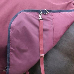 Alfombras para Montar a Caballo a Precio Accesible, Alfombras para Montar a Caballo con Diseño Personalizado, Ajuste Cómodo para Uso Diario - Product Image 6