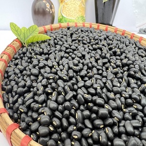 Haricots noirs secs non OGM en gros - Grains clairsemés légers, procédé FD, sac sous vide 25 kg, France, prix modérés, durée de conservation 24 mois - Product Image 5