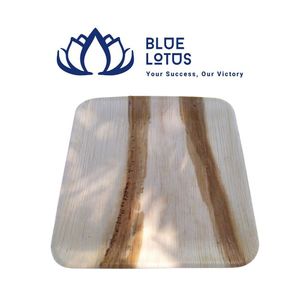 BEST SELLER Assiettes jetables biodégradables en feuilles de palmier de 10 pouces, écologiques, en vrac, lot de 50, robustes pour barbecue - Product Image 1