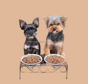 ชามสเตนเลสสำหรับสัตว์เลี้ยงทันสมัยพร้อมขาตั้งโลหะทนทานเพรียวบางใช้งานได้หลากหลายขนาดสำหรับแมวและสุนัข - Product Image 6