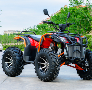 Quad agricole 4x4/4x2 manuel 4 temps pour adultes 250CC/300CC/350CC - Product Image 1