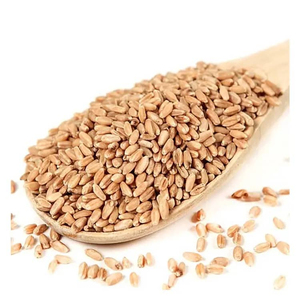 Grains de maïs de qualité alimentaire supérieure en gros, qualité supérieure, stock prêt à l'exportation, fabricant - Product Image 3