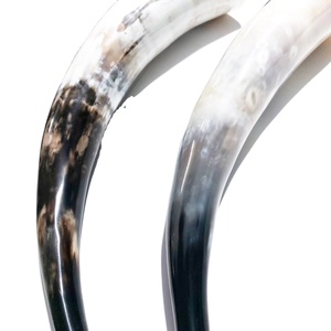 Top Supplier's Classic Polished <b>Viking</b> Drinking Horn Ceramic <b>Cups</b> Handcrafted Natural Bulk for Parties Highest Selling - Product Image 1