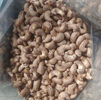 Hoogwaardige biologische groothandel cashewnoten, rauwe gedroogde kernels, topkwaliteit, Vietnamese fabrikantprijs, IIGLOBAL FARM Snack 12-24