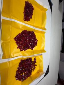 พลอยคอรันดัมสังเคราะห์ทรงเหลี่ยมมรกตสีแดงอ่อนจาก Glassfield สำหรับทำเครื่องประดับ - Product Image 6
