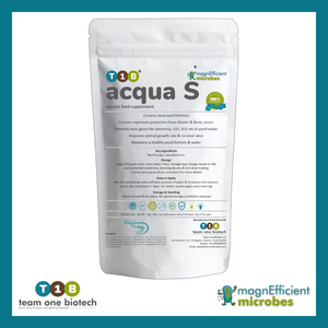 Probiotiques de formulation spéciale pour les écloseries de crevettes-Améliorer la survie - Product Image 1