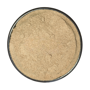 Polvo de Raíz de Costus de Primera Calidad, Polvo Puro de Raíz de Saussurea Costus para Mezclas de Té de Hierbas, Bebidas Funcionales y Smoothies - Product Image 3