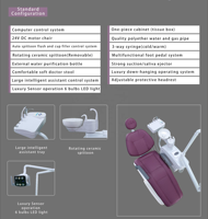 Chaise dentaire complète de traitement d'instrument de thérapie orale réglée unité potable d'Electric Power