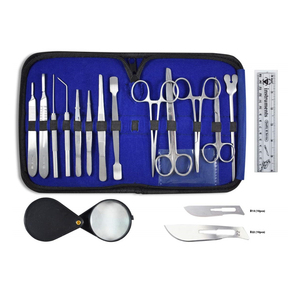 Kit de Práctica Dental para Simulación de Sutura, Modelo de Periodonitis de Silicona, Kit Completo de Sutura Dental para Escuelas de Odontología - Product Image 2