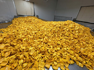 Factory Price Dried Jackfruit Chips – Export Quality - Product Image 6