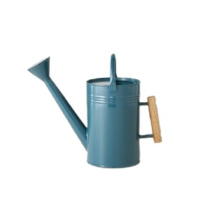 Arrosoir en métal galvanisé avec poignée en bois, style ferme, pour jardin, intérieur et extérieur, outil d'entretien des plantes, à vendre - Product Image 1