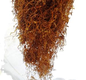 Mezclas de Hierbas para Liar Amber Leaf, American Spirit y Virginia, Suministro a Granel de Fábrica, Hierba Cortada para Palitos de Hierbas con Sabor Natural - Product Image 4