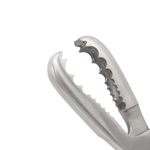 Professional Van Buren Top Quality <strong>Forceps</strong> For <strong>Bone</strong> <strong>Holding</strong> CE Certified <strong>Bone</strong> <strong>Holding</strong> Clamps - Product Image 4