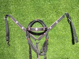 Suministro Directo de Fábrica: Conjunto de Cabezada y Pechera Sintéticas Estilo Western para Caballos, Disponible a Precio Competitivo - Product Image 2