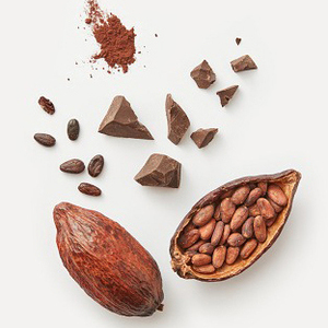 ผู้ค้าส่งเมล็ดโกโก้ ขายเมล็ดโกโก้ - Product Image 2