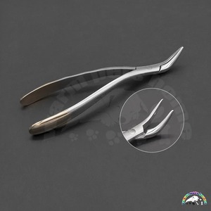 Instrumentos Quirúrgicos BAFA, Juego de Fórceps Dentales para Extracción de Dientes de Mandíbula Superior/Inferior, Instrumento de Clase II con Certificación CE 1 - Product Image 4