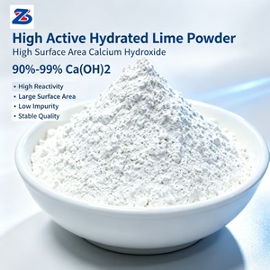 Hidróxido de Calcio en Polvo de Alta Superficie Específica, Cal de Alta Actividad para Aplicaciones Industriales, Suministro de Fábrica - Product Image 1