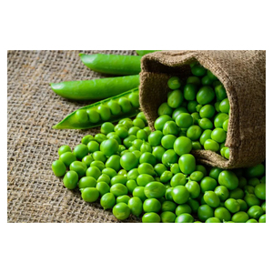 Vente en gros de petits pois verts frais - Product Image 1