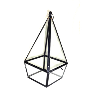การออกแบบต่างๆดอกไม้เรขาคณิต Terrarium - Product Image 3
