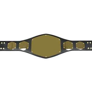 Cinturones de Campeonato Personalizados en Oro para MMA, Boxeo, Jiu-Jitsu, Karate, Judo y Grappling, Correa de Cuero Genuino, Ligeros y Duraderos - Product Image 2