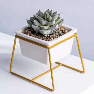Pot carré moderne en céramique pour plantes succulentes, blanc avec support en métal doré, design minimaliste pour plantes de bureau - Product Image 1
