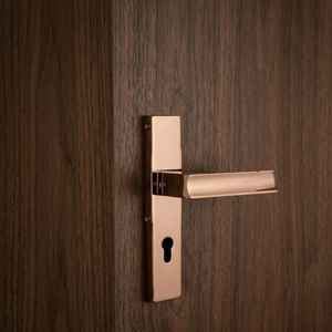 High Quality Brass <b>Door</b> <b>Handle</b> with Back Plate, Modern Lever Design, Durable Heavy Duty <b>Handle</b> for Home, Office & Hotel <b>Doors</b> - Product Image 2