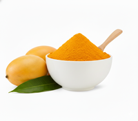 Hoogwaardige biologische niet-GMO fijn gesprayde pure mangopoeder 100% natuurlijke sappige mix vacuüm verpakt bulkverpakking