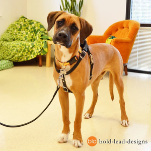 Laisse pour chien en cuir avec logo personnalisé, laisse tactique robuste pour l'entraînement avec clip grenouille de qualité supérieure pour la randonnée et la marche en extérieur - Product Image 4